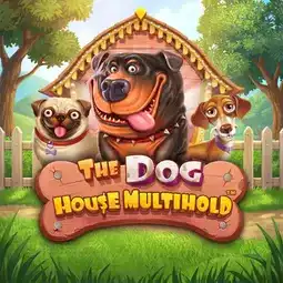 The Dog House Multihold game at Jackpot Jill Casino for Australia players